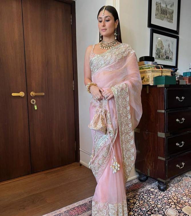 Radhika 265 Stylish Party Wear Organza Silk Latest Saree Collection